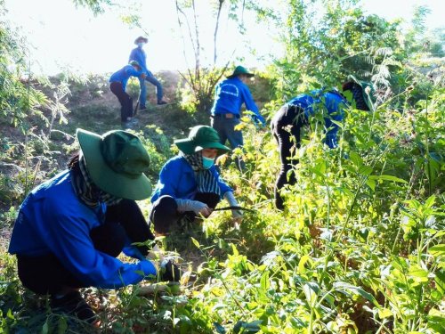 trường đại học giao th&ocirc;ng vận tải thuc hien mua he xanh tai xa ha phu 2.jpg